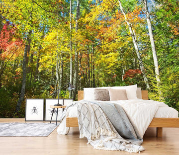 3D Sunny Woods 116 Kathy Barefield Wall Mural Wall Murals Wallpaper AJ Wallpaper 2 