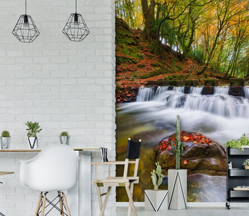 3D Forest Creek 2095 Wall Murals