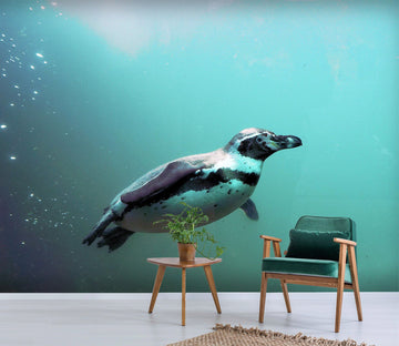 3D Swimming Seal 220 Wallpaper AJ Wallpaper 