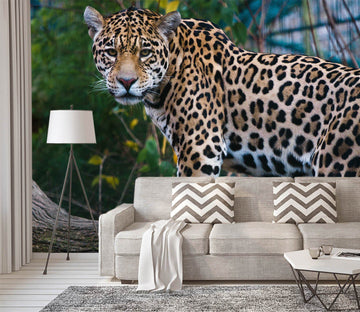 3D Forest Leopard 123 Wallpaper AJ Wallpaper 