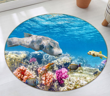 3D Coral Fish 38091 Animal Round Non Slip Rug Mat