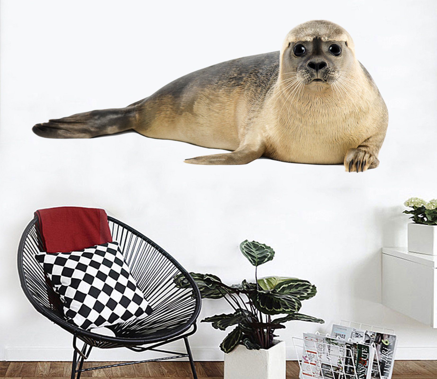 3D Lying Sea Lion 100 Animals Wall Stickers Wallpaper AJ Wallpaper 