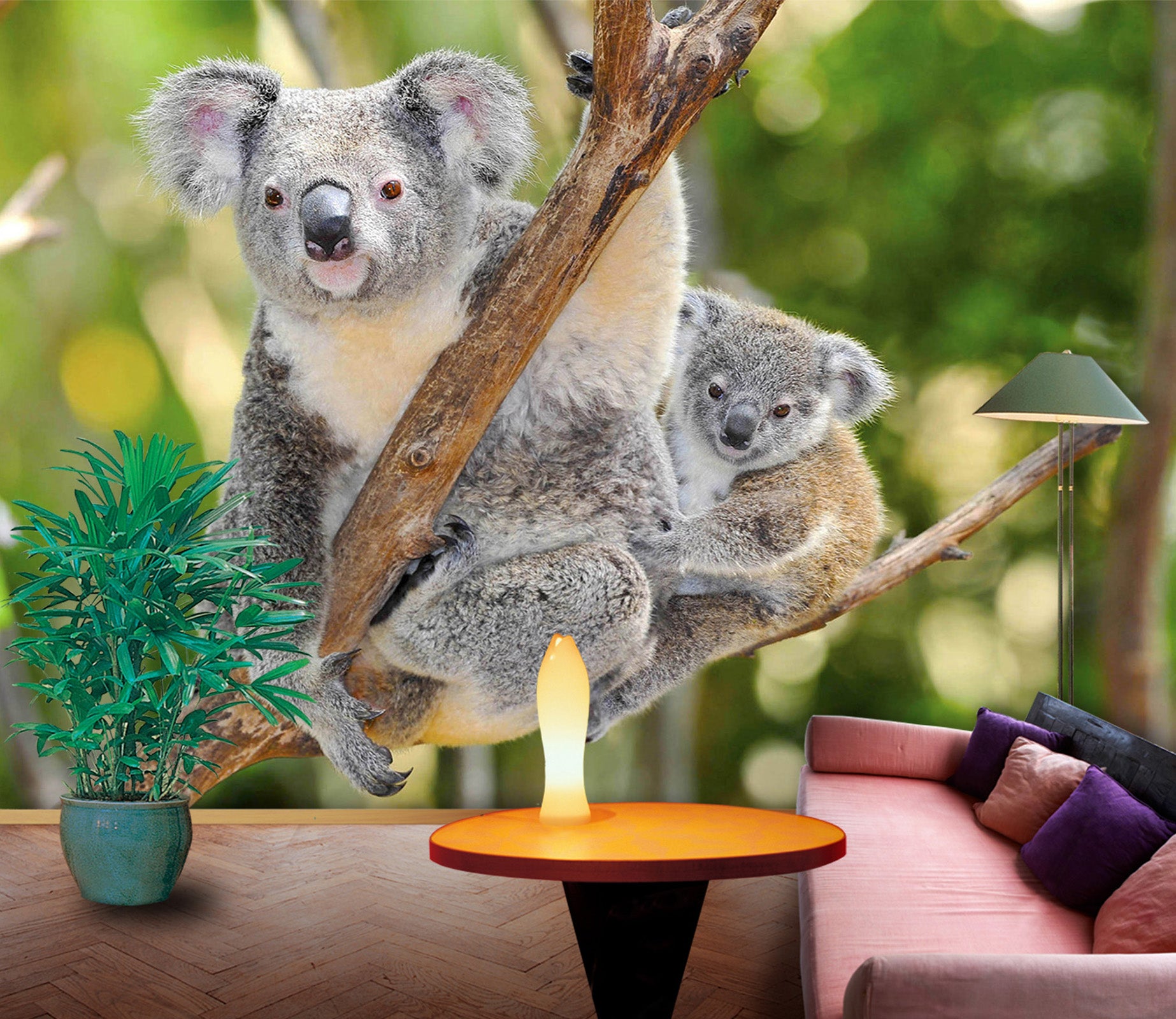 3D Koala Bear 310 Wall Murals