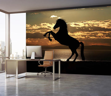 3D Horse Jumping 156 Wall Murals