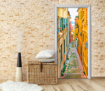 3D House Path 22178 Door Mural