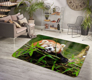 3D Raccoon 68144 Animal Non Slip Rug Mat