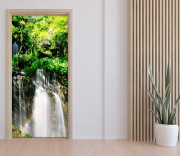 3D Woods White Waterfall 051 Door Mural