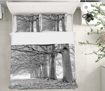 3D Trees 8662 Assaf Frank Bedding Bed Pillowcases Quilt