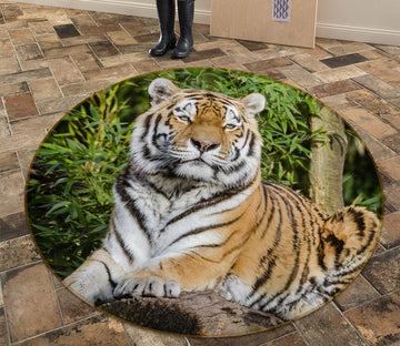 3D Tiger 81268 Animal Round Non Slip Rug Mat