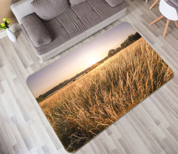 3D Reeds 83276 Assaf Frank Rug Non Slip Rug Mat