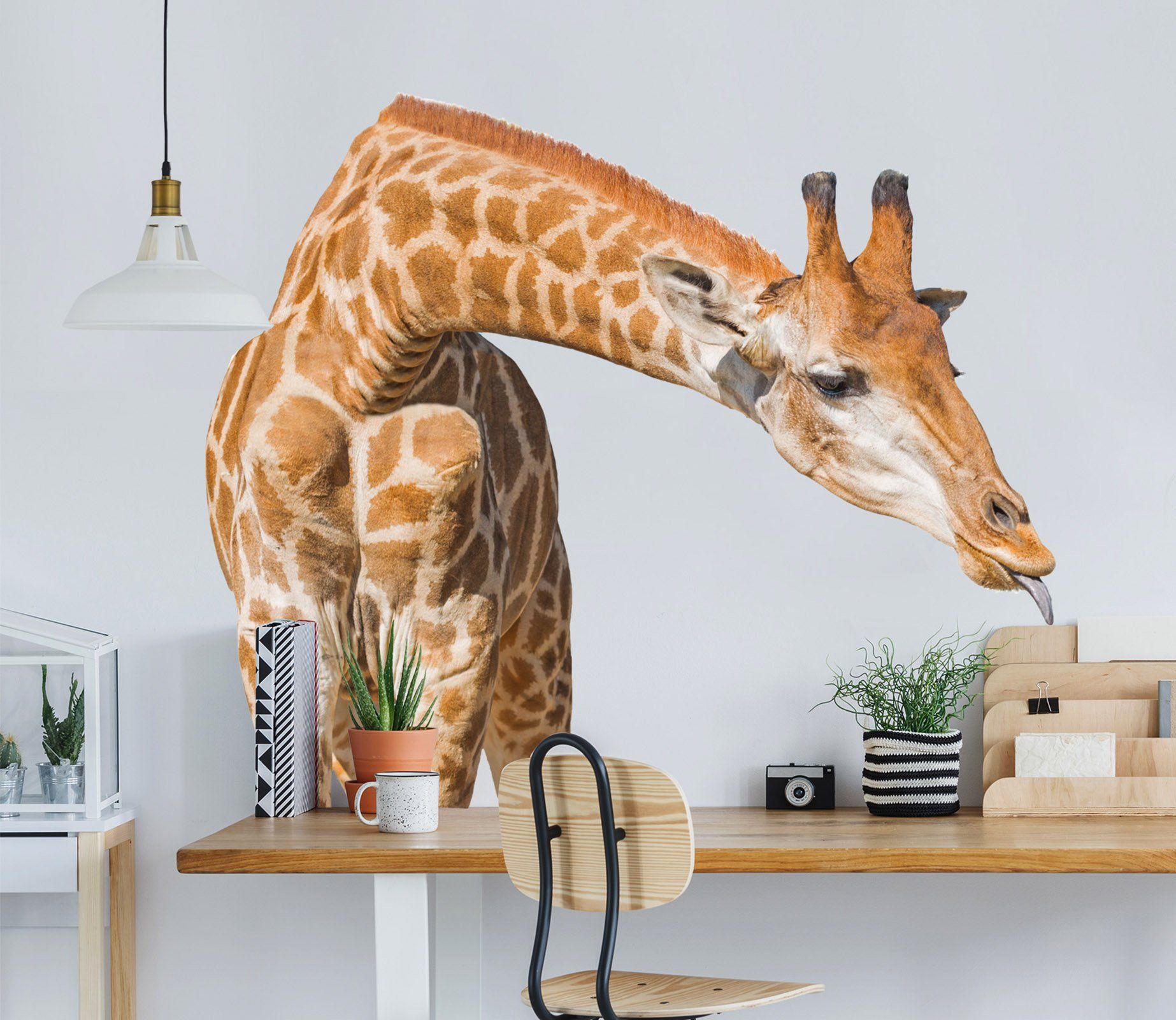 3D Giraffe Eating 131 Animals Wall Stickers Wallpaper AJ Wallpaper 