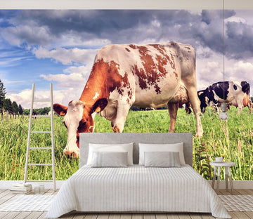 3D Pasture Cow 123 Wall Murals