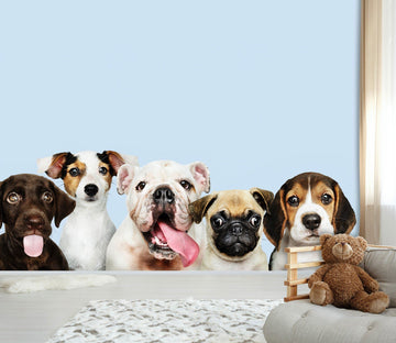 3D Five Puppies 573 Wallpaper AJ Wallpaper 