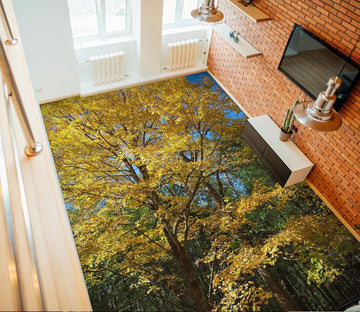 3D Trees 98192 Kathy Barefield Floor Mural