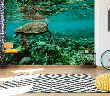 3D Green Turtle 215 Wall Murals