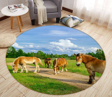 3D Grass Horse 82015 Animal Round Non Slip Rug Mat