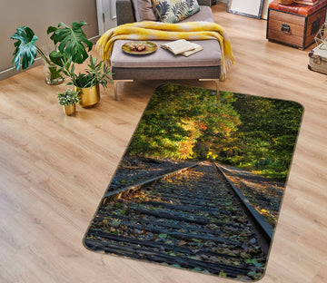 3D Forest Railway 1035 Jerry LoFaro Rug Non Slip Rug Mat