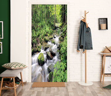 3D Stream Water 21156 Door Mural