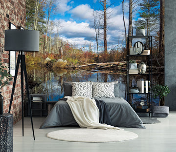 3D Cloud Lake 105 Jerry LoFaro Wall Mural Wall Murals