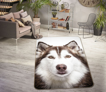 3D Husky 38193 Animal Non Slip Rug Mat