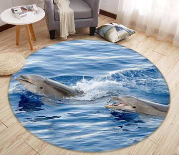 3D Two Dolphins 38016 Animal Round Non Slip Rug Mat