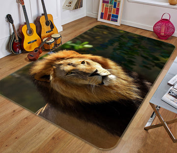 3D Lion 82132 Animal Non Slip Rug Mat