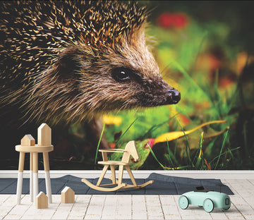 3D Hedgehog Grass 155 Wall Murals