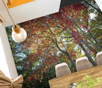 3D Forest 98189 Kathy Barefield Floor Mural