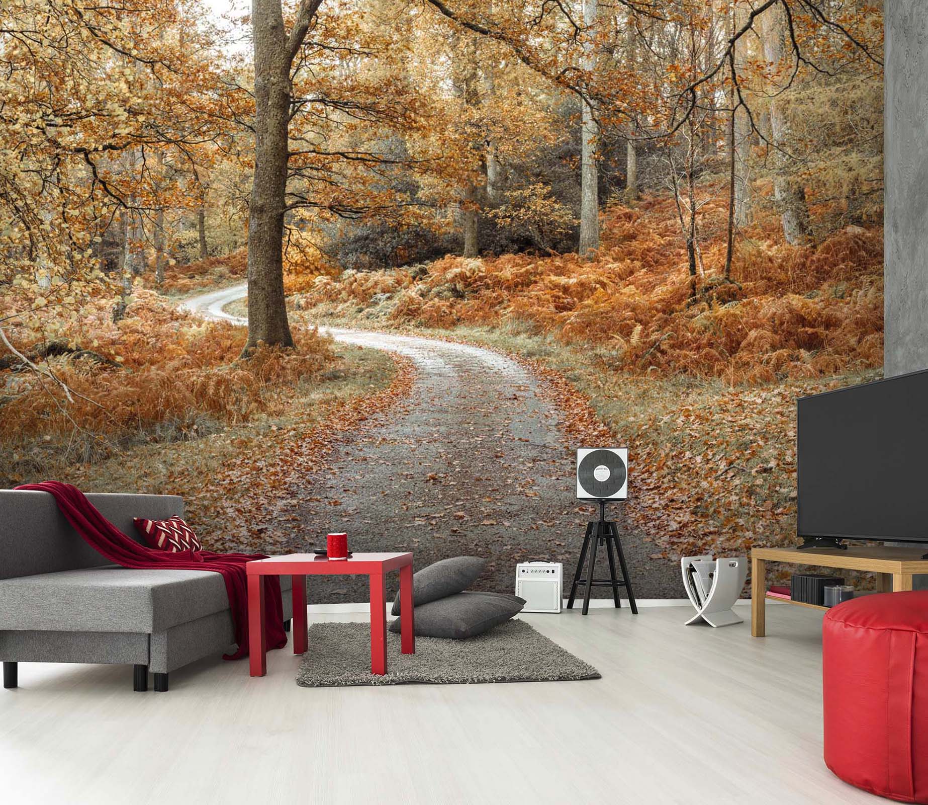 3D Maple Forest Road 056 Assaf Frank Wall Mural Wall Murals