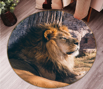 3D Sun Lion 074 Animal Round Non Slip Rug Mat Mat AJ Creativity Home 