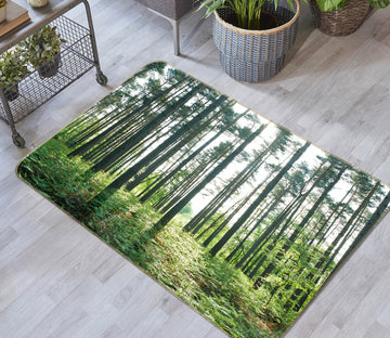 3D Forest 83192 Assaf Frank Rug Non Slip Rug Mat