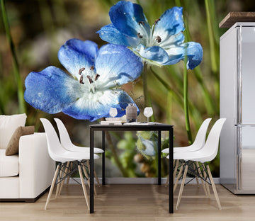 3D Blue Flowers 61143 Kathy Barefield Wall Mural Wall Murals