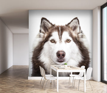 3D Black Dog 184 Wall Murals