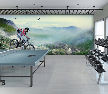 3D Mountain Biking 225 Wall Murals