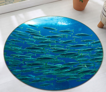 3D School Of Fish 38050 Animal Round Non Slip Rug Mat