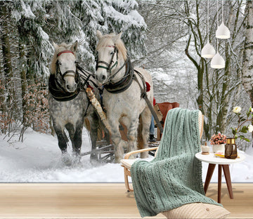 3D Horse Sleigh 263 Wall Murals