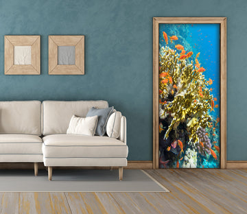 3D Coral 24169 Door Mural