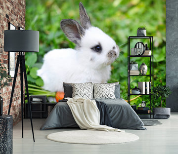 3D Lawn White Rabbit 2018 Wall Murals