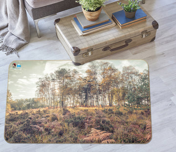 3D Autumn Meadow 6795 Assaf Frank Rug Non Slip Rug Mat