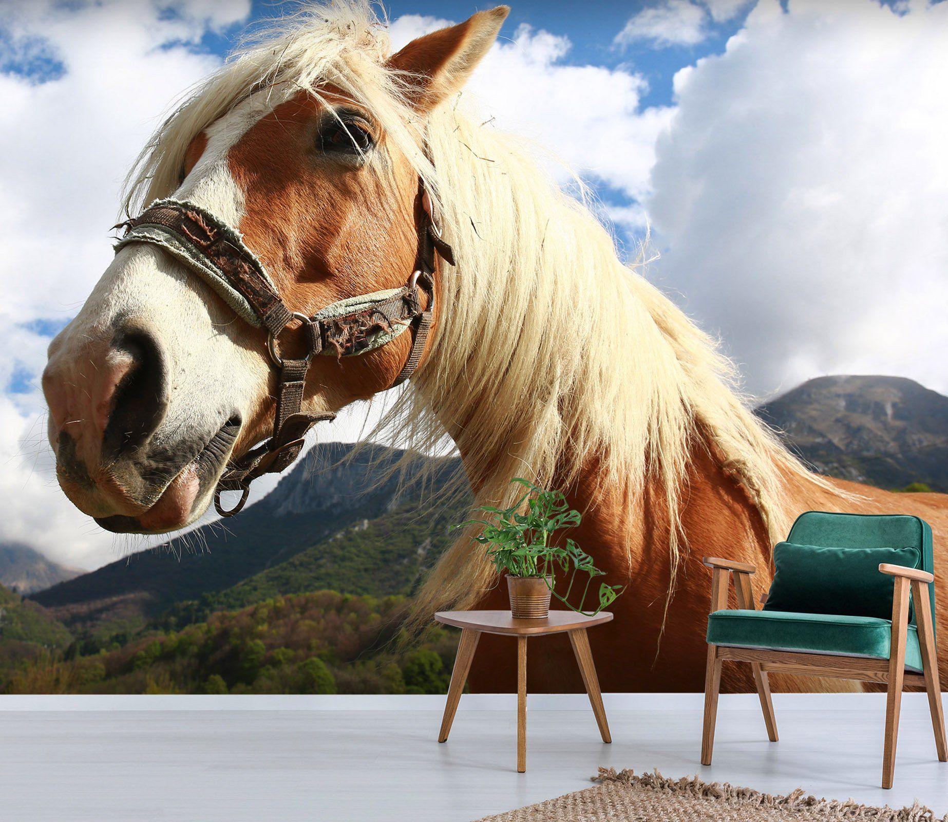 3D Horse Face 670 Wallpaper AJ Wallpaper 