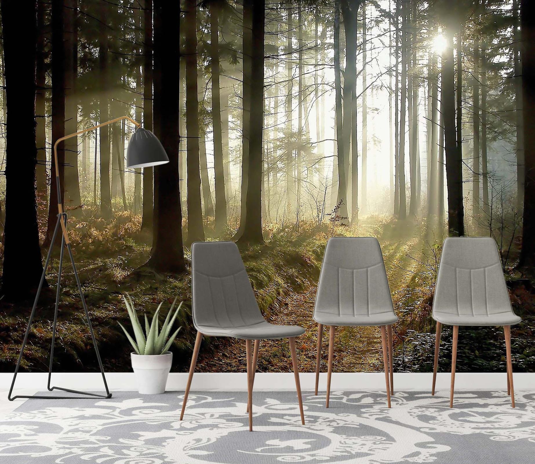 3D Sunshine Forest 08 Wall Murals Wallpaper AJ Wallpaper 2 