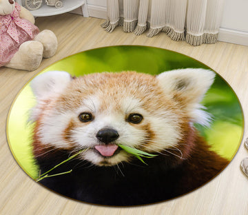 3D Raccoon 38067 Animal Round Non Slip Rug Mat