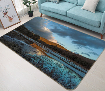 3D Winter Marsh 1031 Jerry LoFaro Rug Non Slip Rug Mat