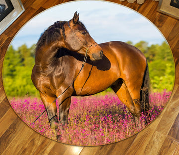 3D Horse 82017 Animal Round Non Slip Rug Mat