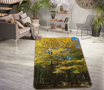 3D Sunny Forest 1135 Kathy Barefield Rug Non Slip Rug Mat Mat AJ Creativity Home 