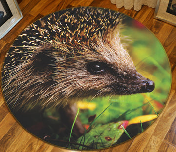 3D Hedgehog 81291 Animal Round Non Slip Rug Mat