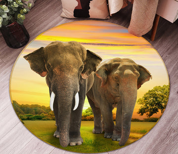 3D Elephant 37229 Animal Round Non Slip Rug Mat