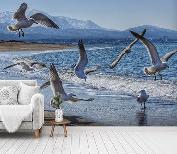 3D Flying Birds 582 Wallpaper AJ Wallpaper 