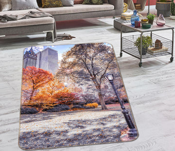 3D New York Park 184 Assaf Frank Rug Non Slip Rug Mat