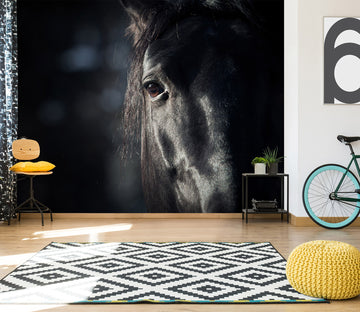 3D Horse Head 304 Wall Murals